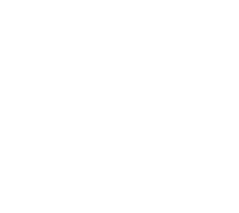 Firo Flowers and Ambience